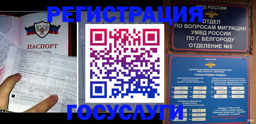 временная регистрация в квартире в Полярных Зорях